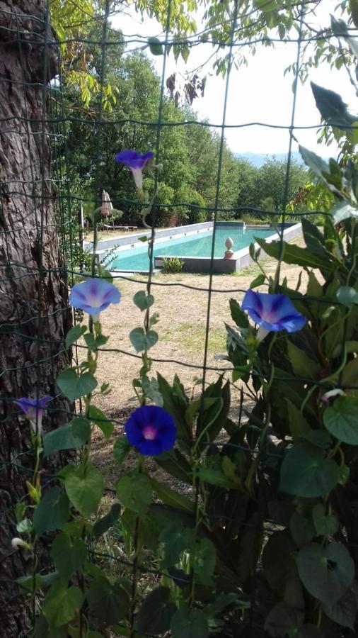 Poggio A Sieve Apartamento Villore Exterior foto