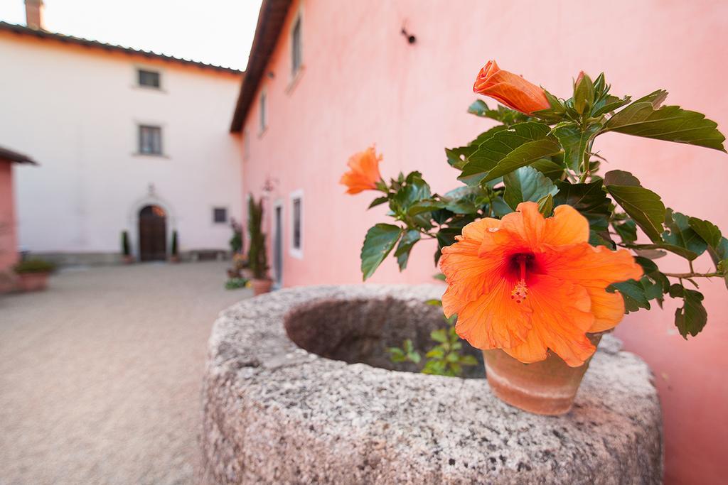 Poggio A Sieve Apartamento Villore Exterior foto